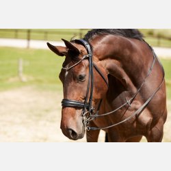 Nakkestykke Kandar Version 2.0