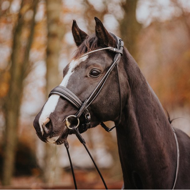 Cassidy Cavasson trense 2.0