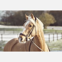 L�se n�seb�nd Spirit Fladt